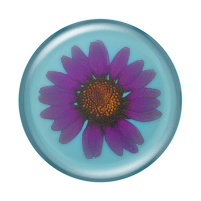 Secondary image for hover Pressed Flower Purple Daisy — PopTop